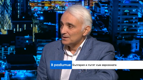 Д-р Емил Калчев: Еврозоната може да охлади имотния пазар pic